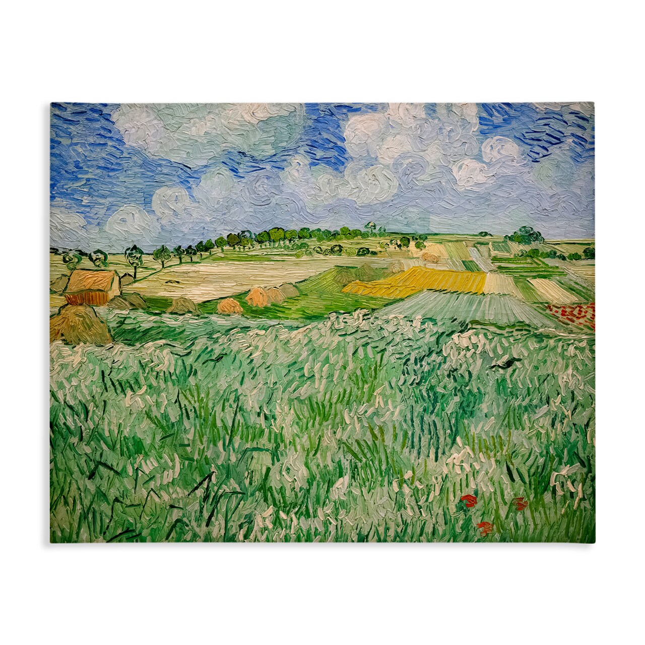 Stupell Industries Plain Near Auvers Painting Canvas, design by Vincent Van Gogh